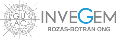 Invegem-ONG-Logo-2020