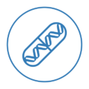 farmacogenomica
